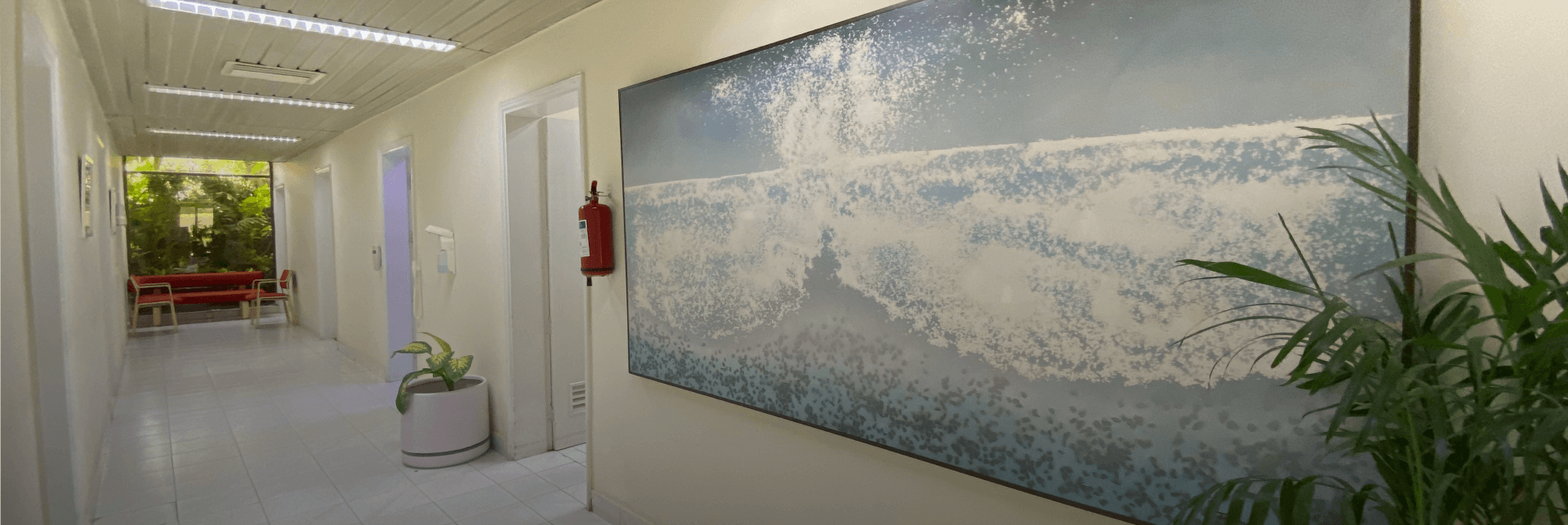 Best Dental Treatment at Altamash Clinic